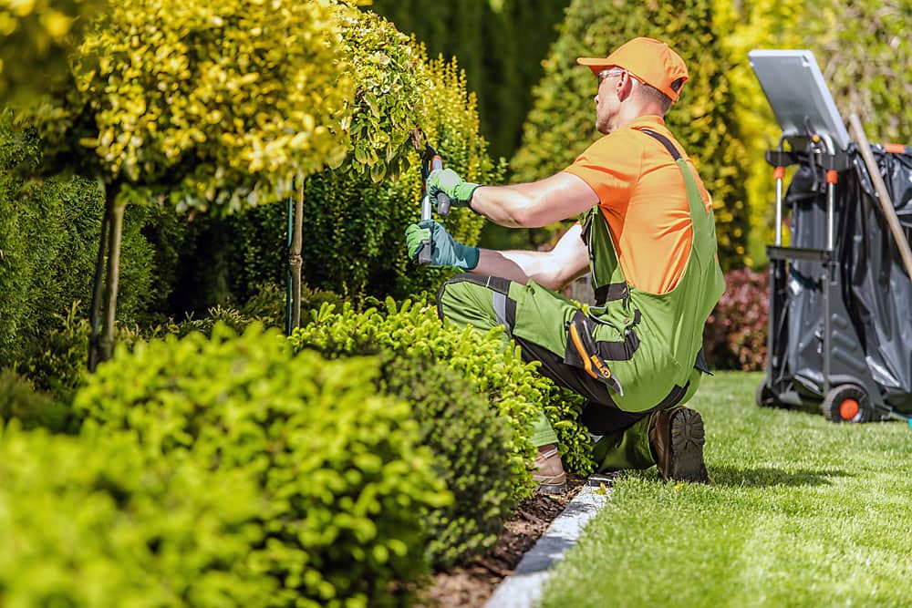 Small High End Landscaping Design & Maintenance